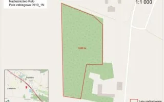 Lotniczy zabieg brudnica mniszka w lasach powiatu kolskiego w gminie Dąbie